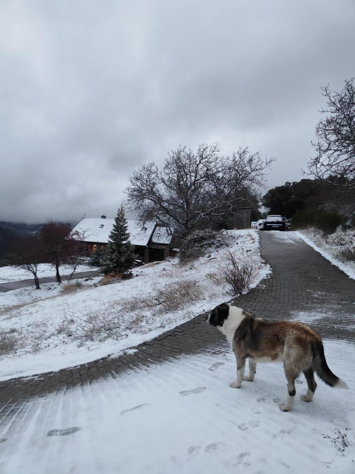 Refugio Del Aguila "Casa Diaman" Pensionat Guejar Sierra Exteriör bild