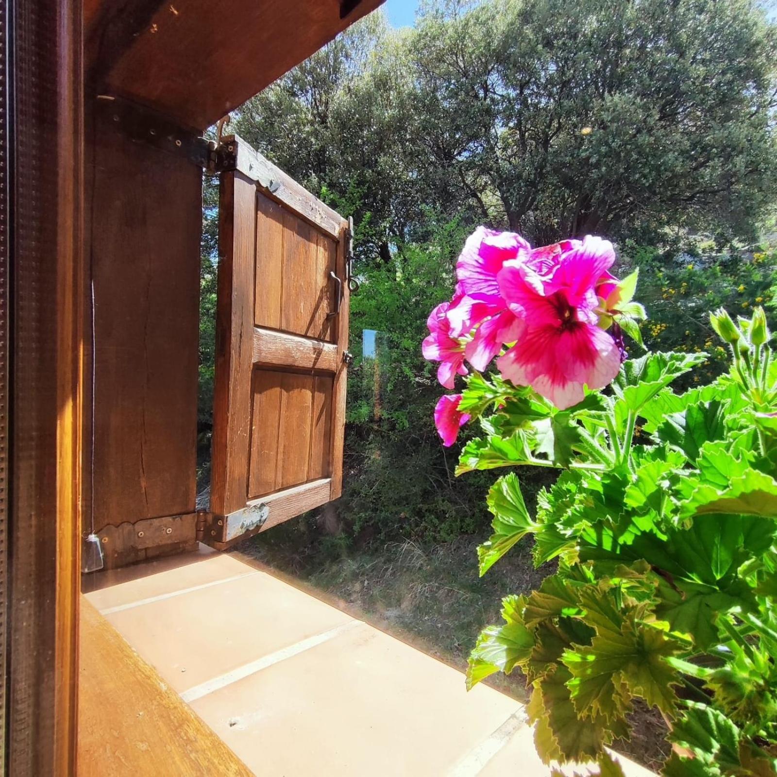 Refugio Del Aguila "Casa Diaman" Pensionat Guejar Sierra Exteriör bild