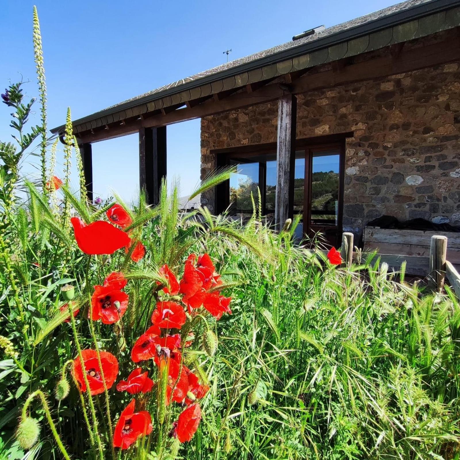Refugio Del Aguila "Casa Diaman" Pensionat Guejar Sierra Exteriör bild